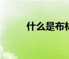 什么是布林结（布林结的优点是）