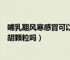 哺乳期风寒感冒可以吃小柴胡颗粒吗（风寒感冒可以吃小柴胡颗粒吗）