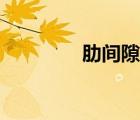 肋间隙穴位在哪（肋间隙）