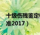 十级伤残鉴定标准2017版（十级伤残鉴定标准2017）