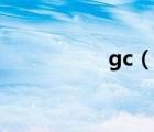 gc（说一说gc的简介）