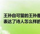 王孙自可留的王孙是什么意思（王孙自可留中的王孙是指谁 表达了诗人怎么样的思想感情）