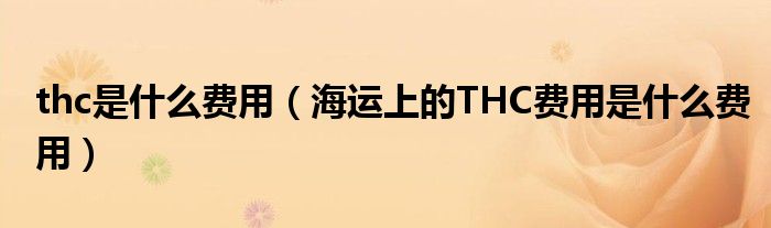 thc是什么费用（海运上的THC费用是什么费用）