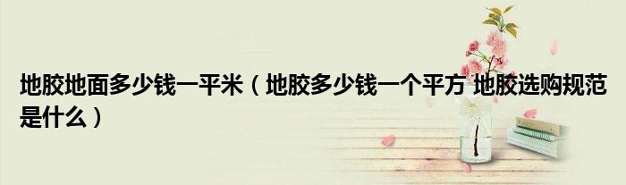 地胶地面多少钱一平米（地胶多少钱一个平方 地胶选购规范是什么）