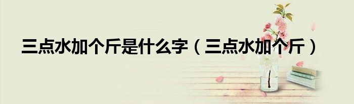 三点水加个斤是什么字（三点水加个斤）