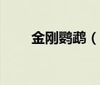 金刚鹦鹉（说一说金刚鹦鹉的简介）