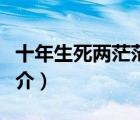 十年生死两茫茫（说一说十年生死两茫茫的简介）