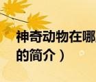 神奇动物在哪里3（说一说神奇动物在哪里3的简介）