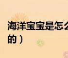海洋宝宝是怎么做出来的（海洋宝宝是什么做的）