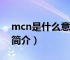 mcn是什么意思（说一说mcn是什么意思的简介）