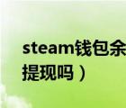 steam钱包余额提现（有方法在steam钱包提现吗）