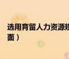选用育留人力资源规划（人力资源选育用留分别代表哪些方面）