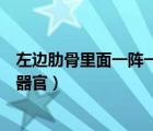 左边肋骨里面一阵一阵疼是怎么回事（左边肋骨下面是什么器官）