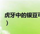 虎牙中的银豆可以干什么（虎牙银豆有什么用）