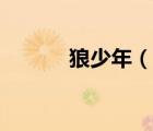 狼少年（说一说狼少年的简介）