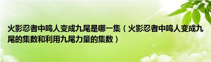 火影忍者中鸣人变成九尾是哪一集（火影忍者中鸣人变成九尾的集数和利用九尾力量的集数）