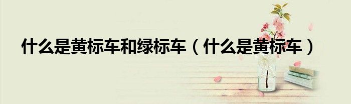 什么是黄标车和绿标车（什么是黄标车）