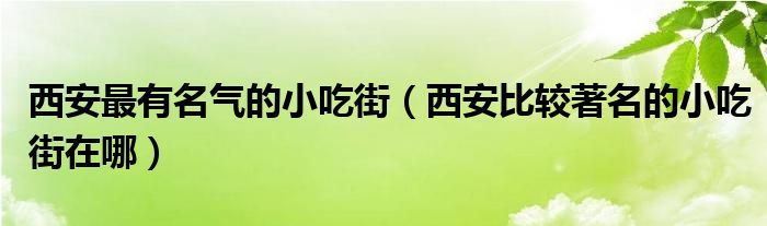 西安最有名气的小吃街（西安比较著名的小吃街在哪）
