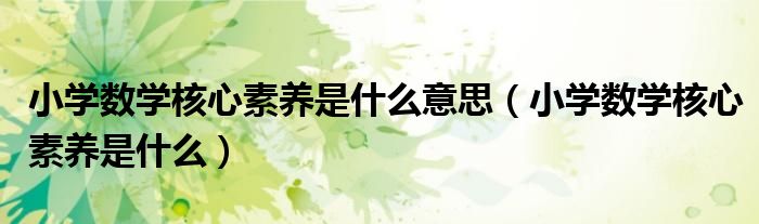 小学数学核心素养是什么意思（小学数学核心素养是什么）