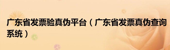 广东省发票验真伪平台（广东省发票真伪查询系统）