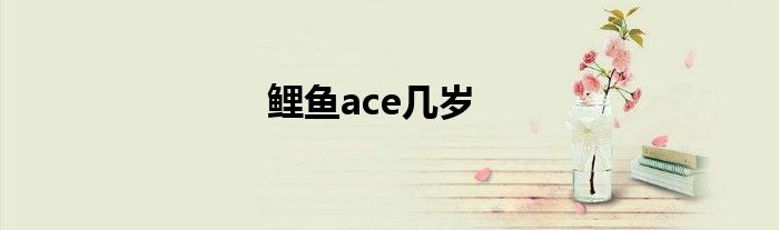 鲤鱼ace几岁