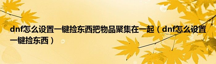 dnf怎么设置一键捡东西把物品聚集在一起（dnf怎么设置一键捡东西）