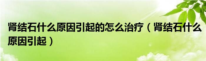 肾结石什么原因引起的怎么治疗（肾结石什么原因引起）