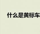 什么是黄标车和绿标车（什么是黄标车）