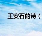 王安石的诗（说一说王安石的诗的简介）