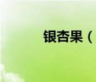 银杏果（说一说银杏果的简介）