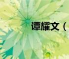谭耀文（说一说谭耀文的简介）