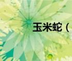 玉米蛇（说一说玉米蛇的简介）
