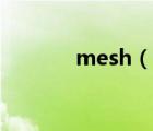 mesh（说一说mesh的简介）