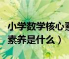 小学数学核心素养是什么意思（小学数学核心素养是什么）