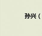孙兴（说一说孙兴的简介）