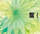 鳖（说一说鳖的简介）