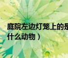 庭院左边灯笼上的是什么（庭院左边活动灯笼许愿架上站着什么动物）