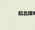 皖北煤电集团招标网（皖北）