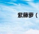 紫藤萝（说一说紫藤萝的简介）