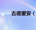 古德里安（说一说古德里安的简介）