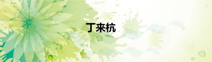 丁来杭
