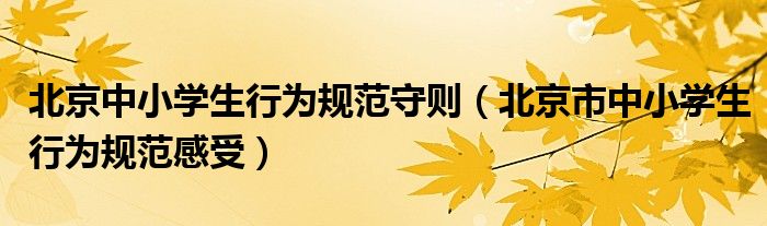 北京中小学生行为规范守则（北京市中小学生行为规范感受）
