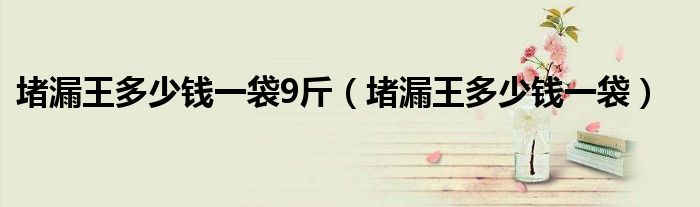 堵漏王多少钱一袋9斤（堵漏王多少钱一袋）
