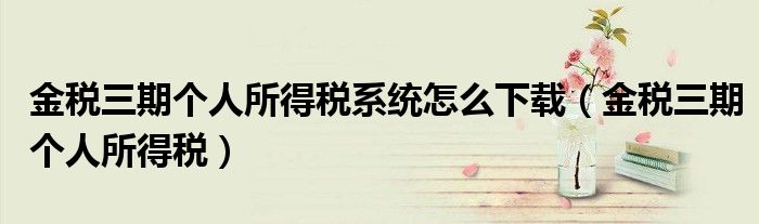 金税三期个人所得税系统怎么下载（金税三期个人所得税）