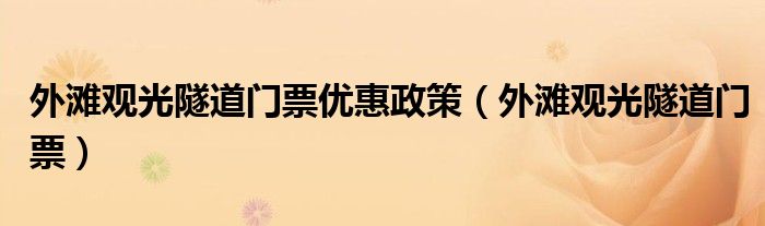 外滩观光隧道门票优惠政策（外滩观光隧道门票）