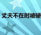 丈夫不在时被硬上（丈夫不在时被硬上小说）