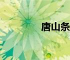 唐山条约百科（唐山条约）