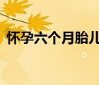 怀孕六个月胎儿图（怀孕7个月胎儿有几斤）