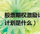 股票期权激励计划是什么意思（股票期权激励计划是什么）