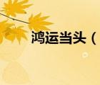 鸿运当头（说一说鸿运当头的简介）